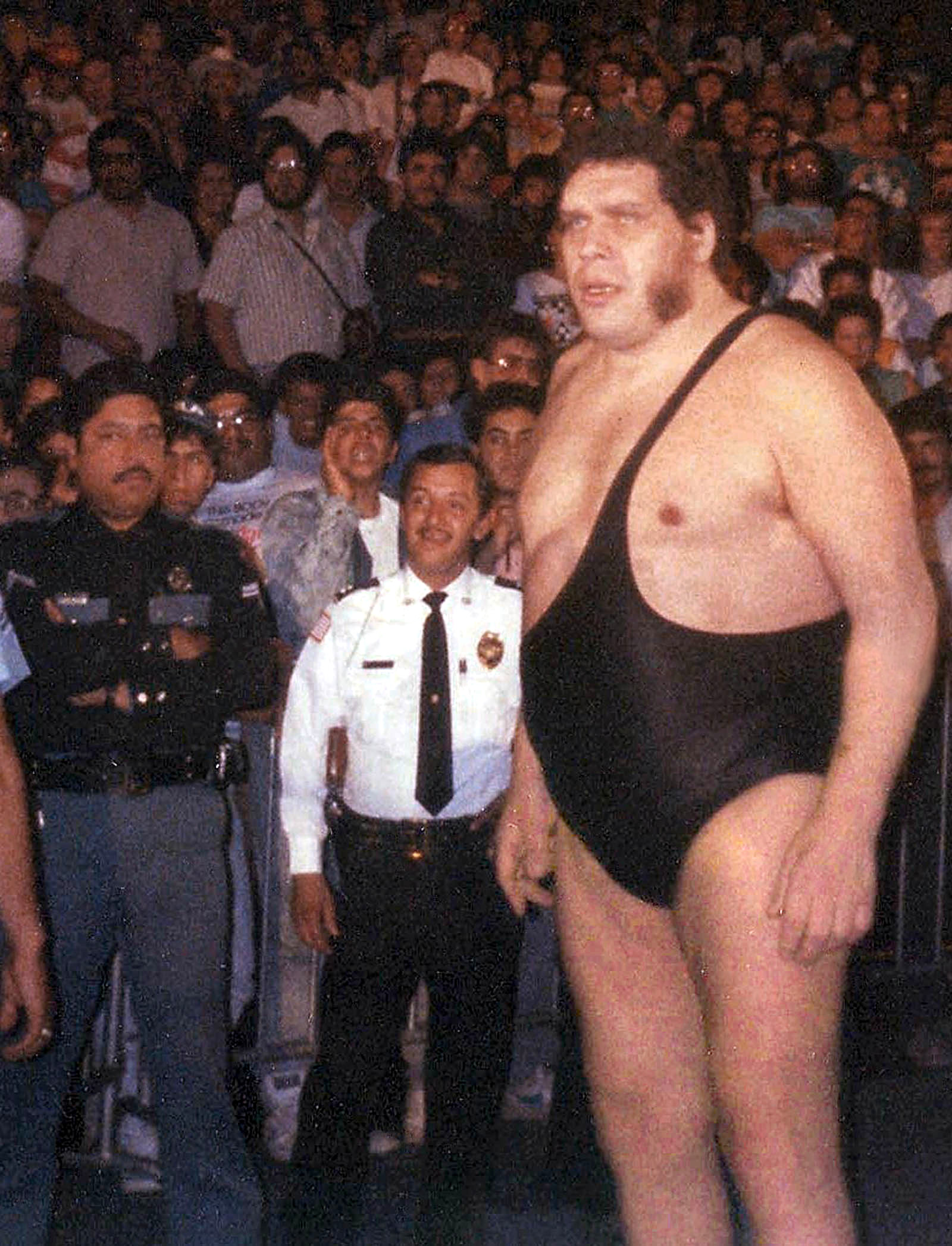 Details About Andre The Giant That Came Out After He Died