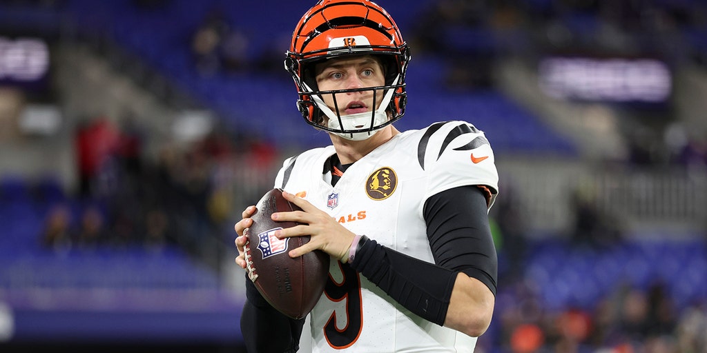 Cincinnati Bengals Defeat Baltimore Ravens 32-14 and Revive Playoff Hopes