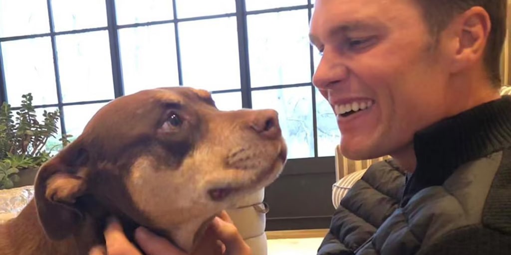 Tom Brady Explains Why He Cloned His Beloved Dog Tom Brady Explains Why He Cloned His Beloved Dog