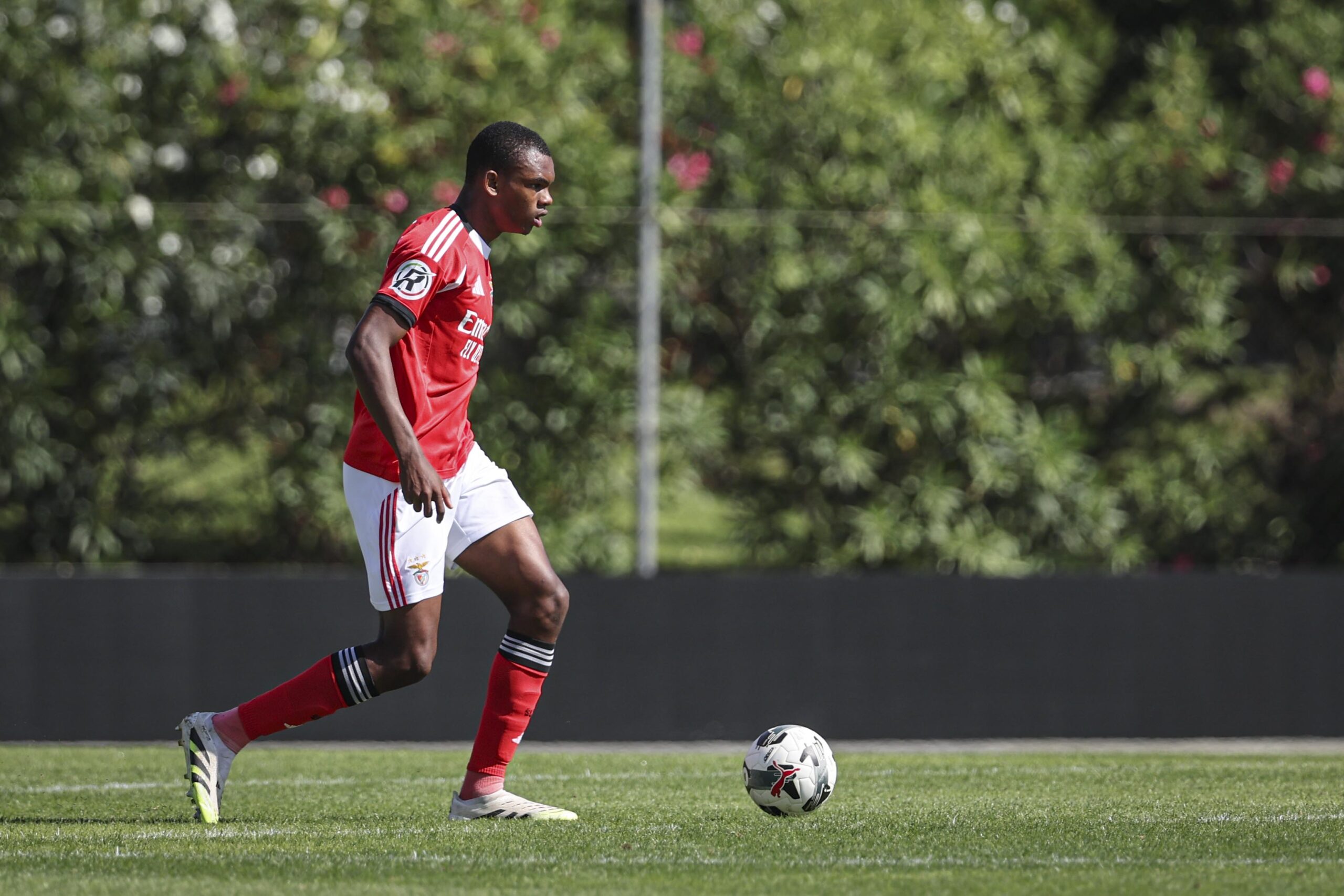 Ricardo Neto: The World Cup Winner Who’s Eyeing a Benfica Debut